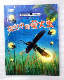 《夜空中的萤火虫》
