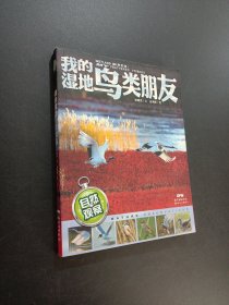 我的湿地鸟类朋友