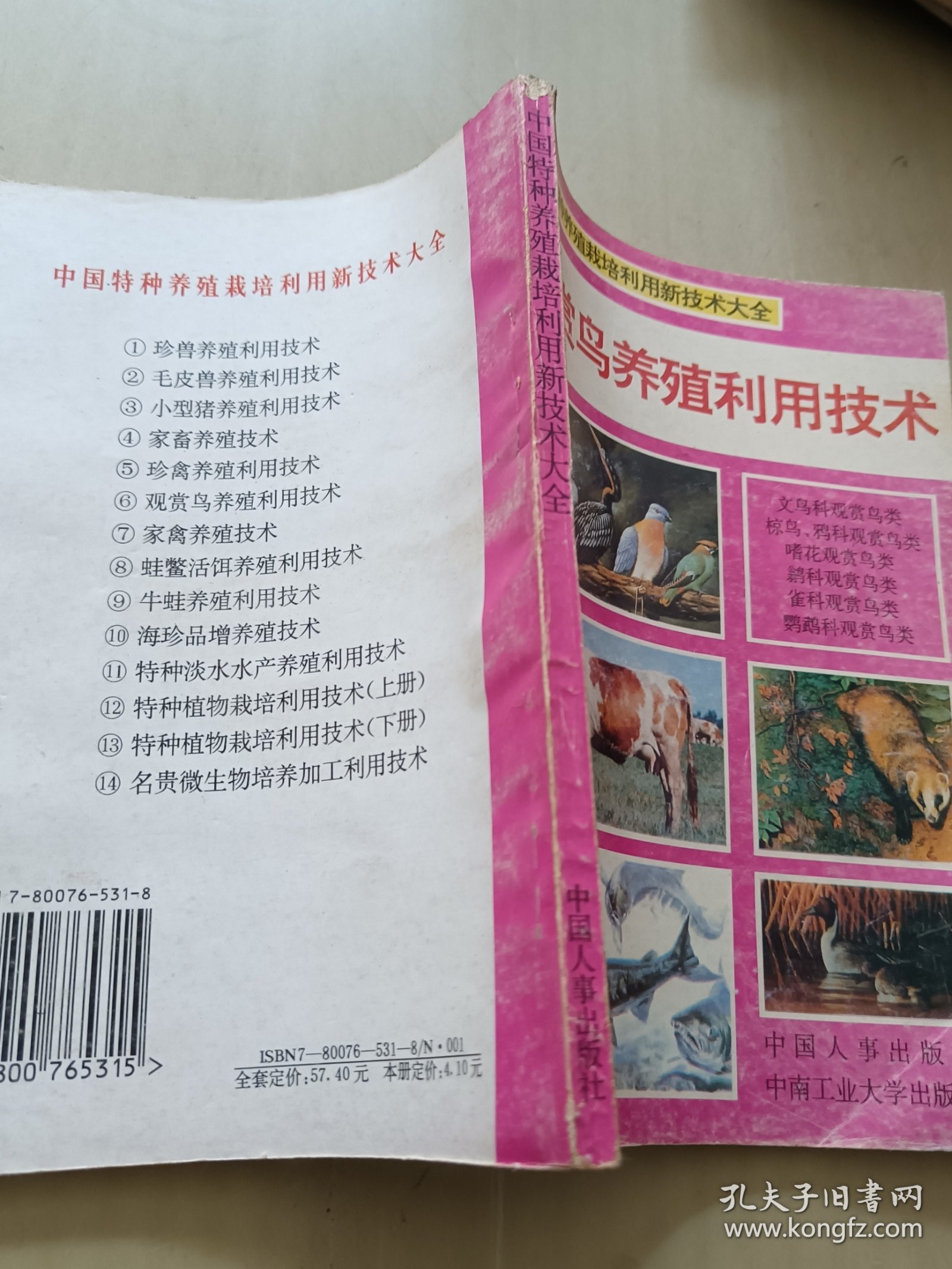 观赏鸟养殖利用技术