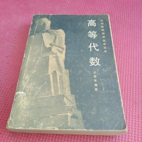 大学基础数学自学丛书 高等代数