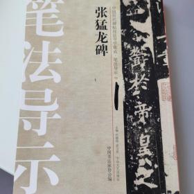 中国历代碑帖技法导学集成·笔法导示（15）：张猛龙碑
