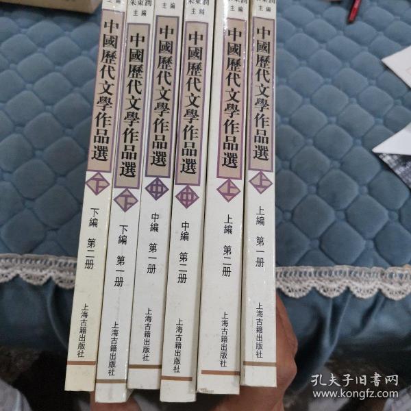 中国历代文学作品  下  （下编 第2册）