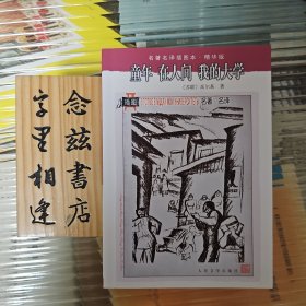 名著名译插图本：童年·在人间·我的大学（名著名译插图本·人民文学出版社 店内有此系列所有作品）