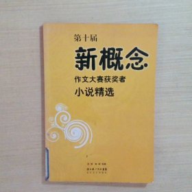 第十届新概念作文大赛获奖者小说精选