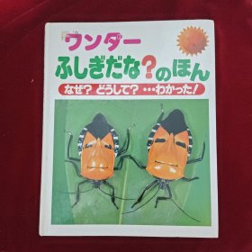 日文原版 ふしぎだな?のほん 小朋友学习绘本书