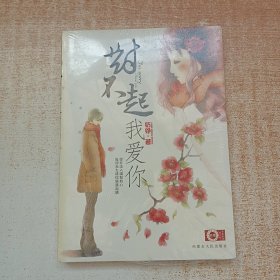 对不起我爱你