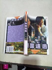 跨國(guó)追逃