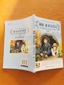 汤姆·索亚历险记