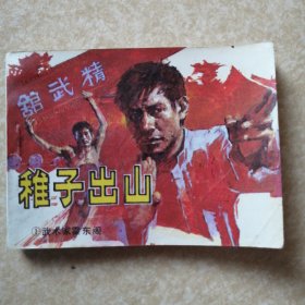稚子出山（武术家霍东阁之一）【连环画】2本