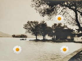 民国早期杭州风景老照片西湖平湖秋月(树旁没有栏杆，一页扁舟，整个画面唯美)