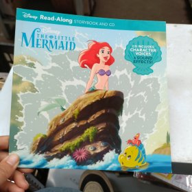 Read-Along STORYBOOK MERMAID