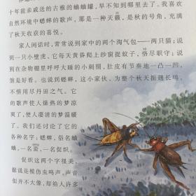 丁香结 六年级配套