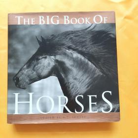 The Big Book of Horses