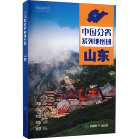 山东 中国行政地图 作者 新华正版