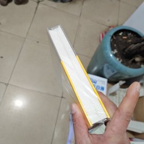 咫尺天涯:最后的老北京