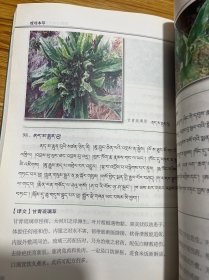 藏药古本经典图鉴四种：度母本草（汉藏对照）