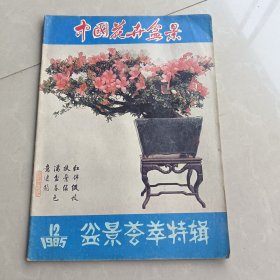 中国花卉盆景1985.12 盆景荟萃特辑