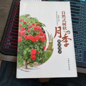 自然式树状月季栽培技术