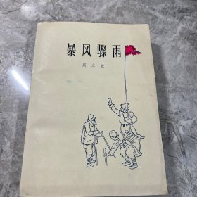 暴风乐雨