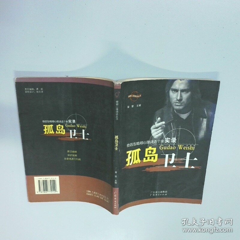婚姻心理调适丛书 稳固型婚姻心理调适个案 孤岛卫士