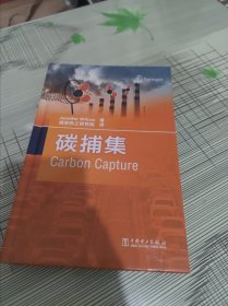 碳捕集 精装 正版原版 书内干净完整未翻阅 书品九品请看图