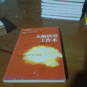 大脑活用工作术 [日]茂木健一郎  著；千太阳  译 9787508632261 中信出版社