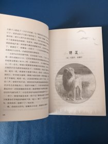 退役军犬黑豹（中外动物小说精品）