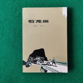 石龙岗（大32开）（抗日长篇）