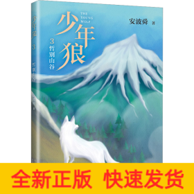 少年狼 3 哲别山谷