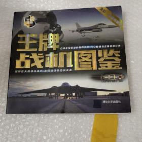 世界武器博览系列：王牌战机图鉴（白金版）
