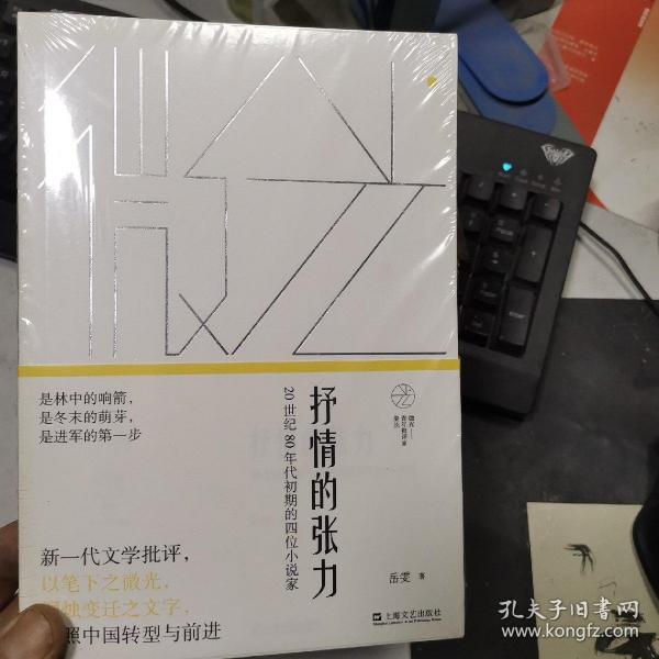 抒情的张力——20世纪80年代初期的四位小说家(微光：青年批评家集丛)