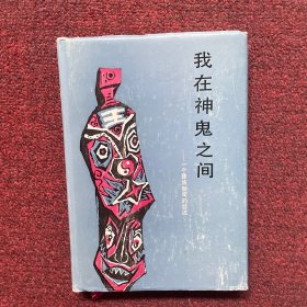 我在神鬼之间：一个彝族祭司的自述 精装