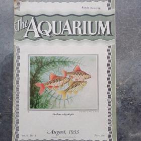 TheAQUARIUM