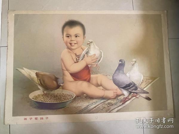 孩子爱鸽子，82年年画，上海人民美术出版社