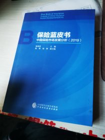 保险蓝皮书——中国保险市场发展分析（2019）