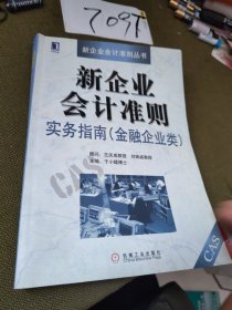 新企业会计准则实务指南（金融企业类）