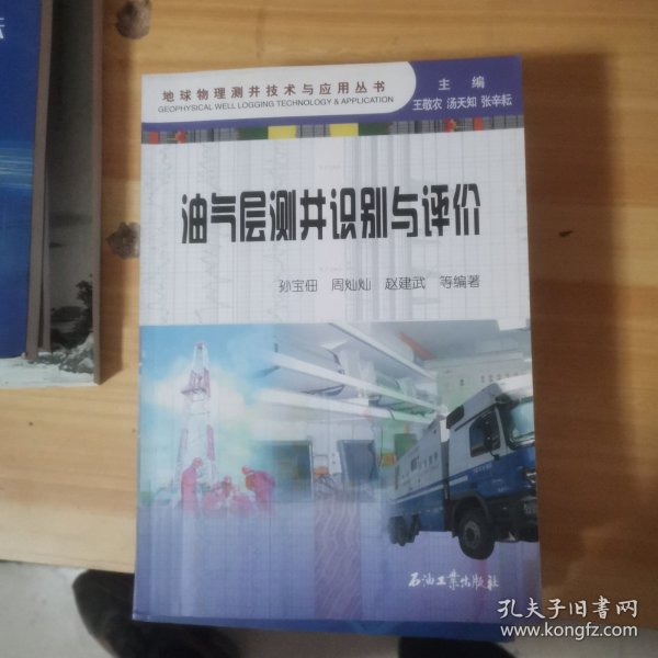 地球物理测井技术与应用丛书：油气层测井识别与评价