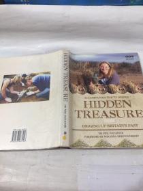 Hidden Treasure:Digging up Britain's Past   隐藏的宝藏:挖掘英国的过去