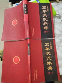 湖南醴陵石羊文氏族谱卷一卷四两本合售