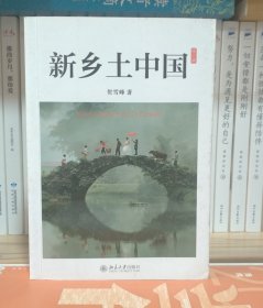 新乡土中国：修订版