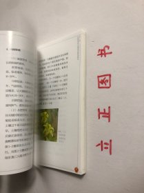 【正版现货，一版一印】浙南地区大棚番茄生产实用技术手册（图文版）设施越冬番茄产业是浙南地区最具区域优势、最有发展潜力的农业主导产业之一。据统计，浙南地区大棚越冬番茄现有栽培面积10万亩，总产量近50万吨，产值约12亿元，已成为浙南地区农业增效、农民增收的新举措。广大菜农依靠科技发家致富的要求十分迫切，非常需要通俗易懂的图书以指导其选良种、育好苗、用好肥、施准药、保好温、点好花，品相好，实用性强