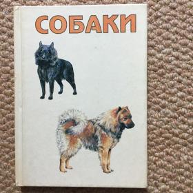 俄文  СОБАКИ  （犬类图鉴）