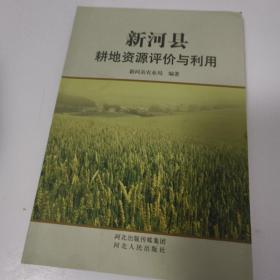 新河县耕地资源评价与利用