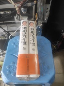 《我的乒乓生涯》上下。