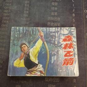 连环画：森林飞剑