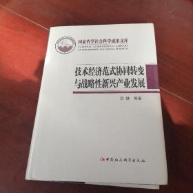 技术经济范式协同转变与战略性新兴产业发展