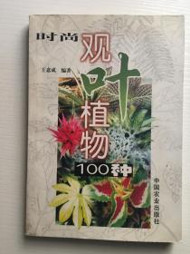 时尚观叶植物100种