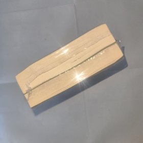 王小波作品集 青铜时代