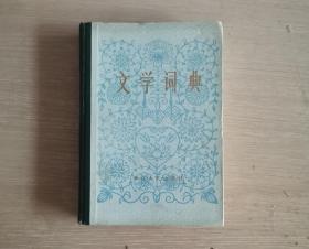 文学词典 精装本