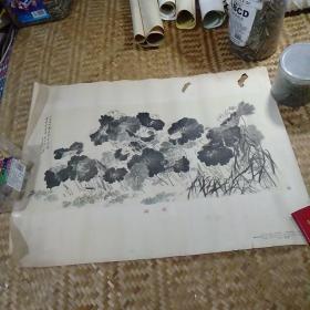 荷花
